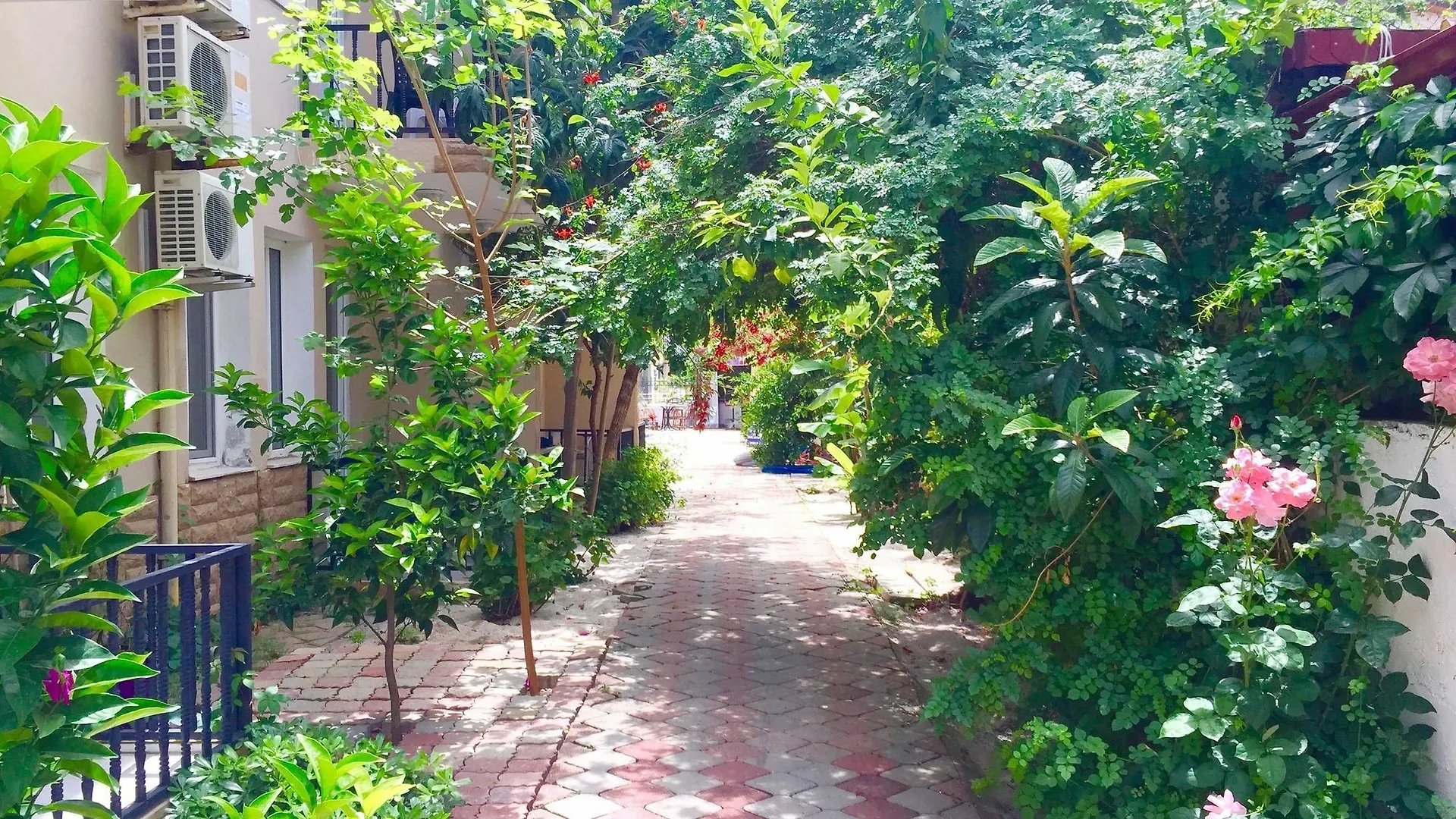 Aparthotel Dove Apart Hotel Fethiye