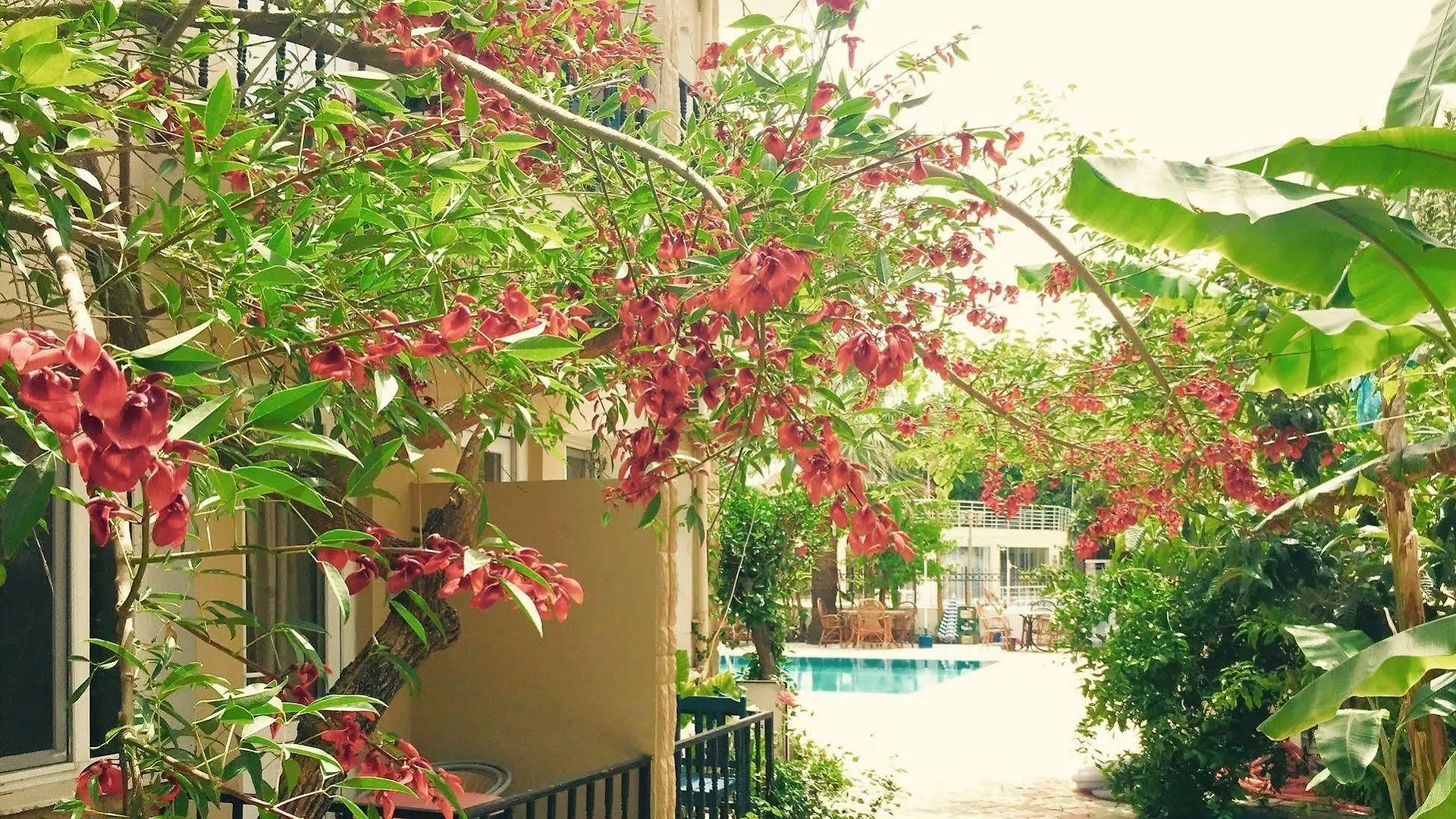 Aparthotel Dove Apart Hotel Fethiye